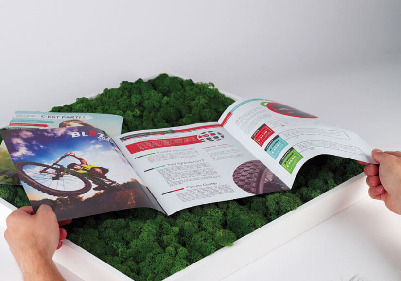 Distribution de flyers dans la rue